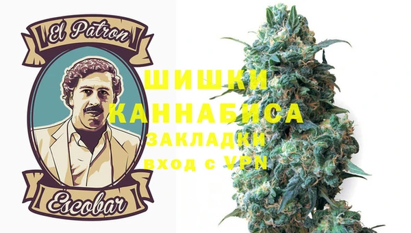 шишки Заводоуковск