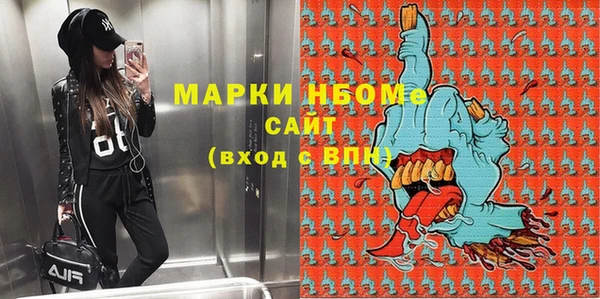 шишки Заводоуковск