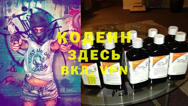 шишки Заводоуковск