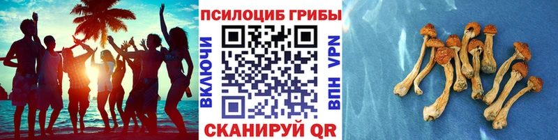 mega ONION  хочу   Гусев  Псилоцибиновые грибы Psilocybine cubensis 