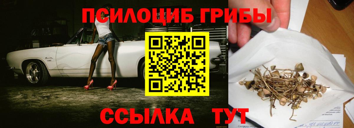 Псилоцибиновые грибы мицелий  Гусев 