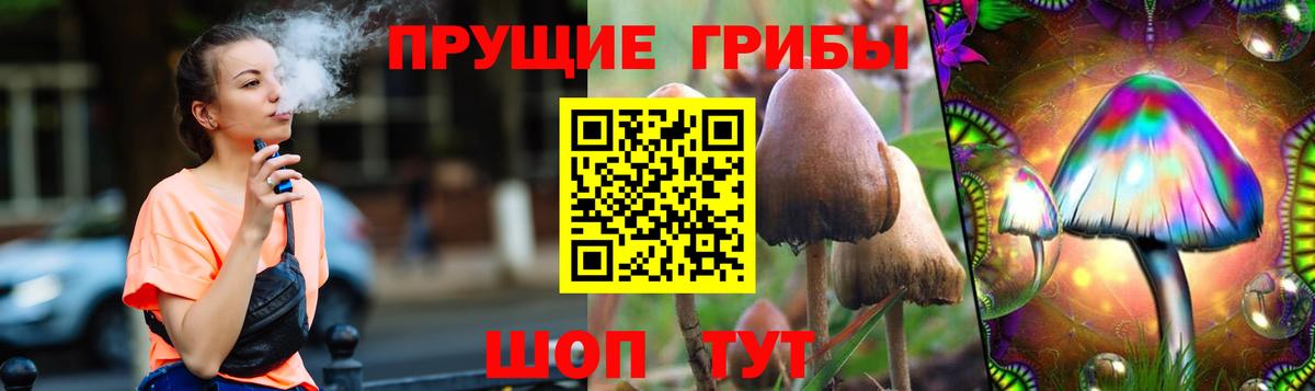 Гусев  Псилоцибиновые грибы Psilocybine cubensis  Вход с VPN 