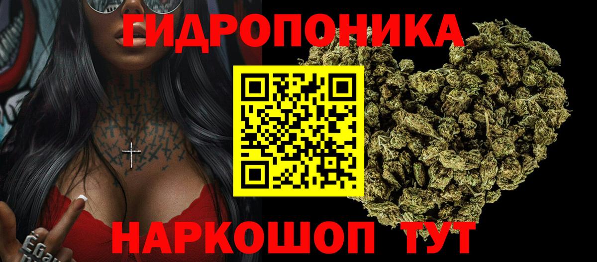 Бошки марихуана марихуана  Бошки марихуана White Widow  Каннабис ГИДРОПОН  Вход с VPN  Гусев 